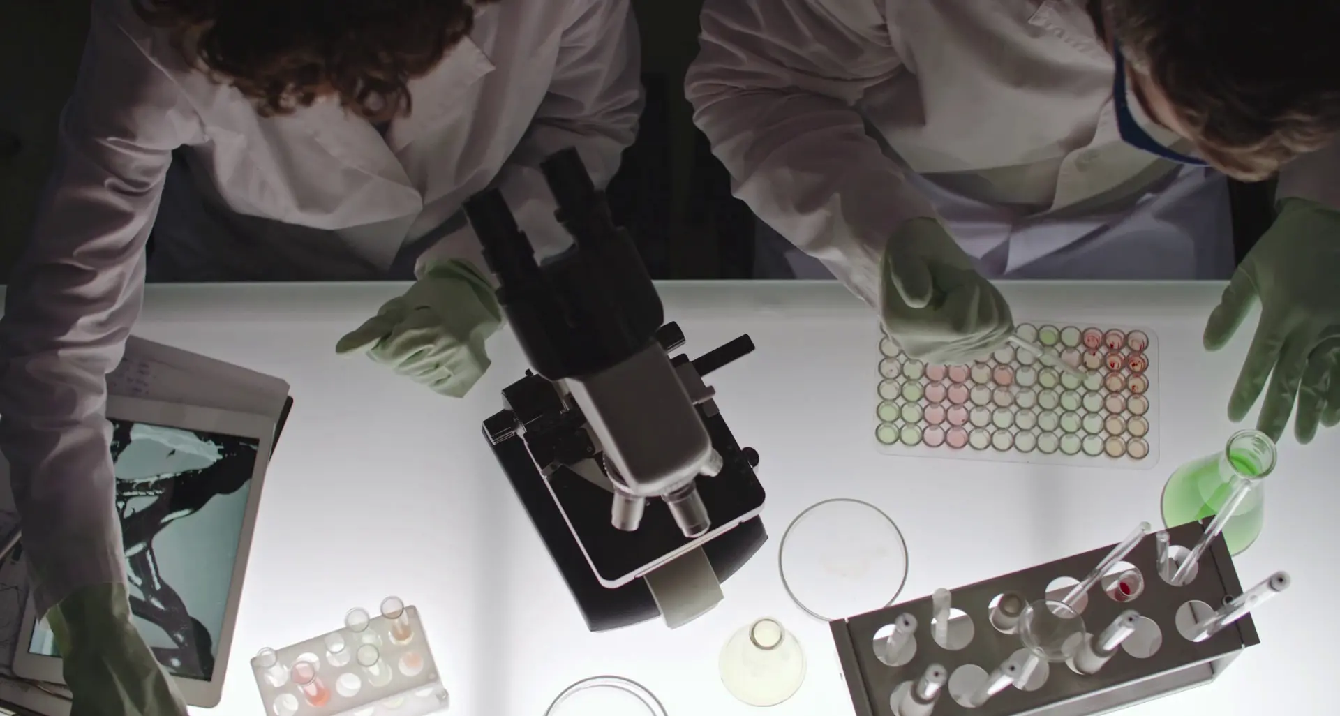 Chiarito il legame tra lupus e rischi cardiovascolari