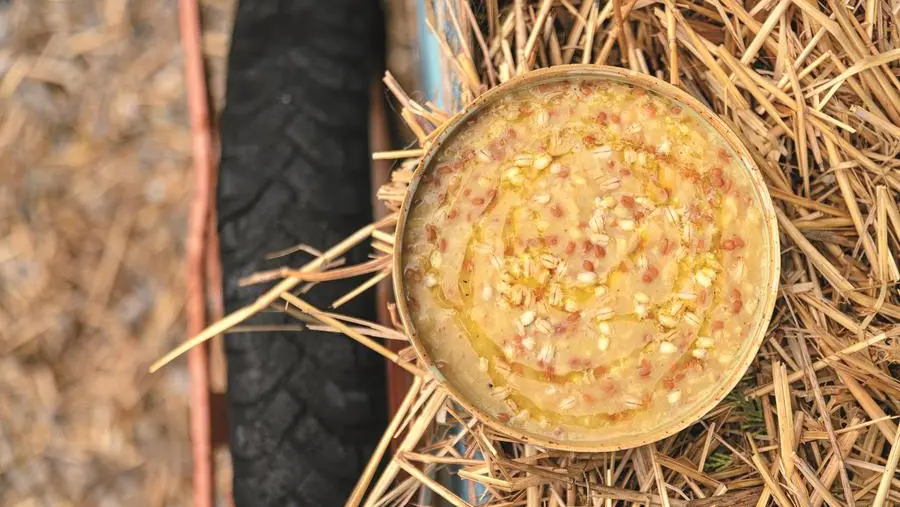 Zuppa di orzo, farro e fagioli cannellini