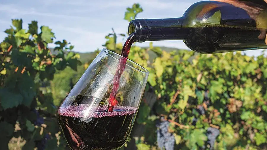 Il vino fa male indipendentemente dalla quantità?