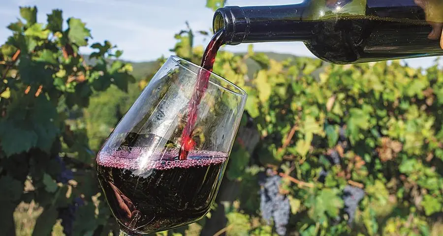 Il vino fa male indipendentemente dalla quantità?