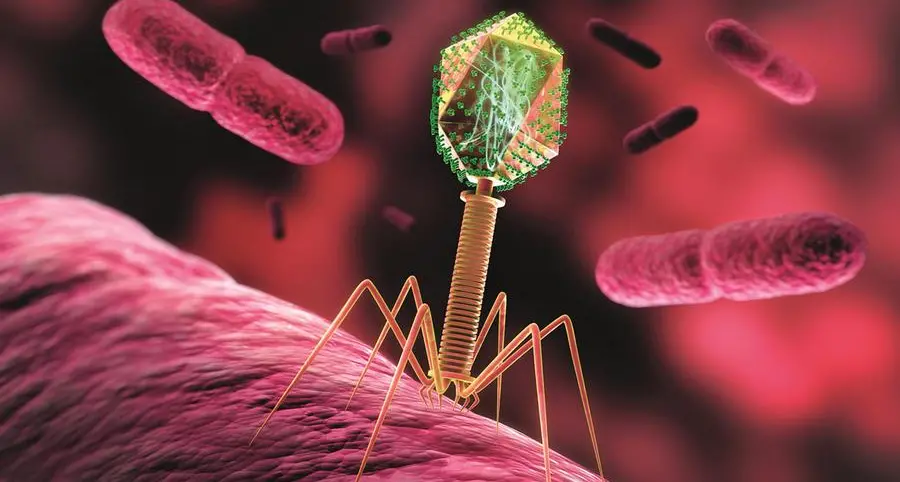 La terapia con i virus che annientano i super batteri