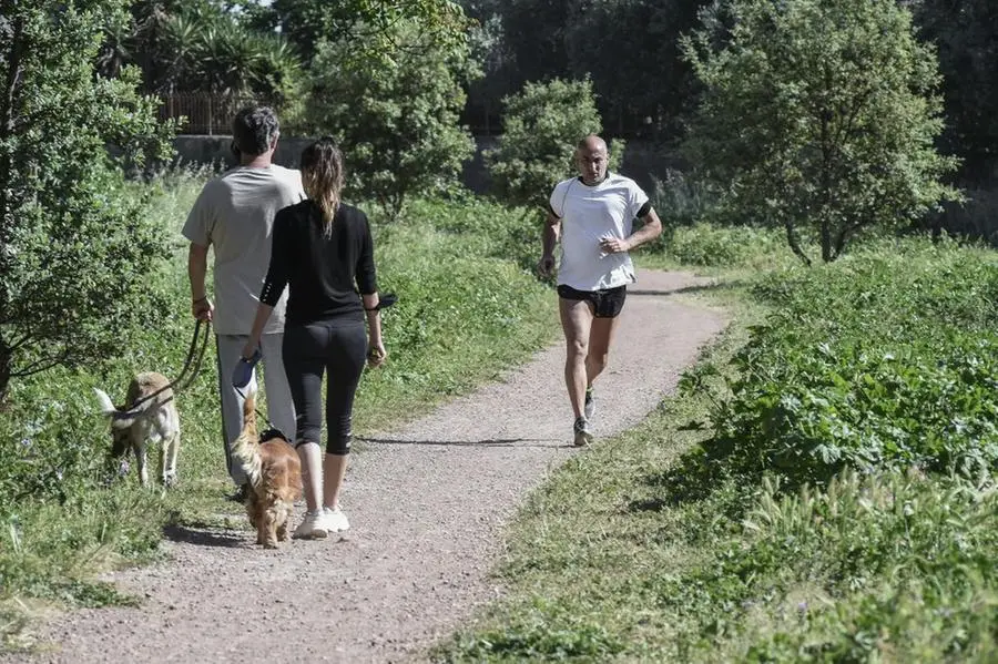 FASE DUE TEMPO LIBERO AL PARCO CORONAVIRUS CORONA VIRUS COVID19 COVID 19 VITA ALL'ARIA APERTA APERTO PERSONE NEI PARCHI PARCO DI TOR FISCALE PASSEGGIATA CON IL CANE CORSA FOOTING RUNNING JOGGING ATLETA