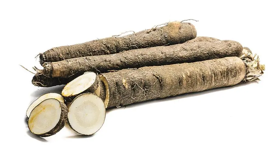 Risotto con scorzonera