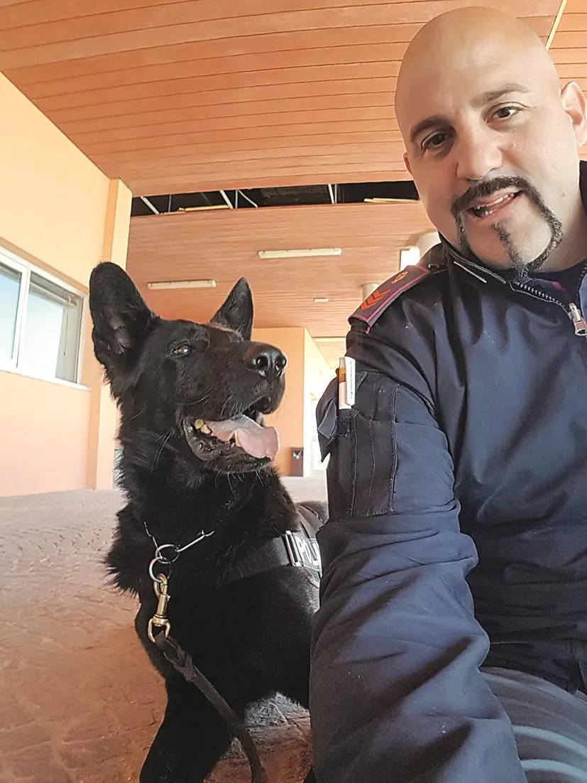 Daniele Gianangeli, vicesovrintendente di Polizia, insieme ad Apablos, il cane poliziotto con cui ha lavorato e che ha adottato