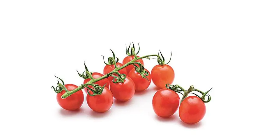 Pietanze stuzzicanti: i piatti che invogliano i pazienti a mangiare