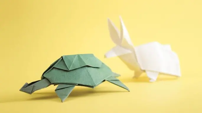 Decisioni lente e veloci: sei più lepre o tartaruga?