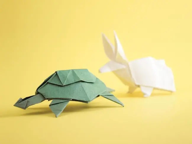 Decisioni lente e veloci: sei più lepre o tartaruga?