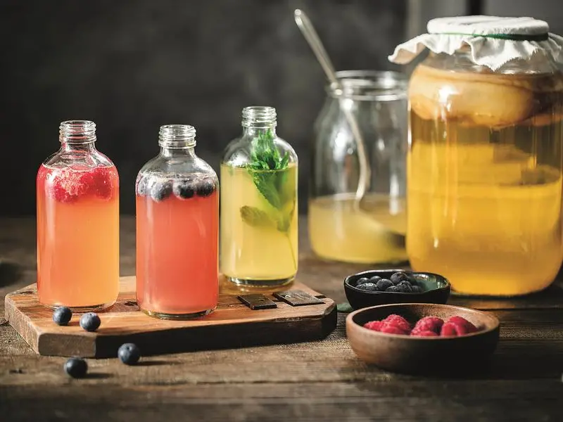 Bevande fermentate: istruzioni per le colture a casa