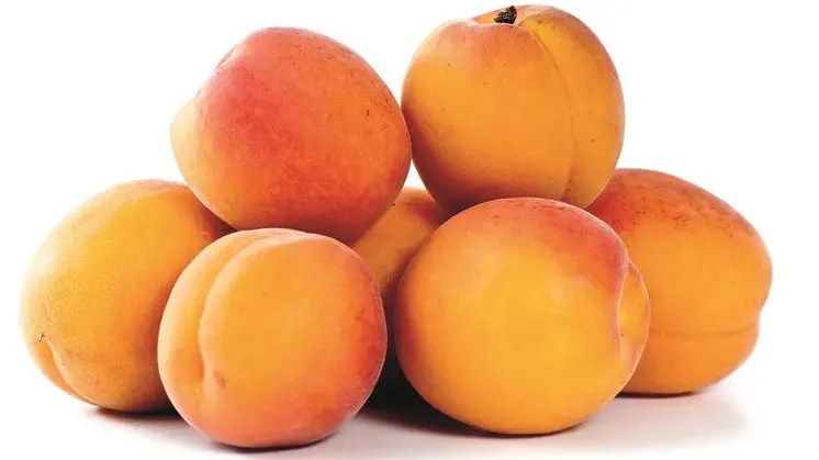 Una porzione di albicocche copre due terzi del fabbisogno quotidiano di vitamina A