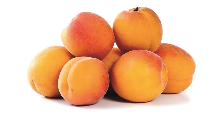 Una porzione di albicocche copre due terzi del fabbisogno quotidiano di vitamina A