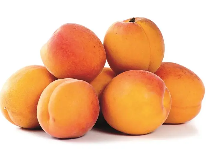 Una porzione di albicocche copre due terzi del fabbisogno quotidiano di vitamina A