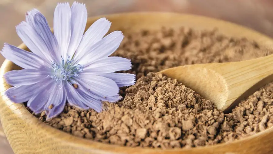 Gli antichi rimedi di Ildegarda, la santa pioniera della medicina naturale e olistica
