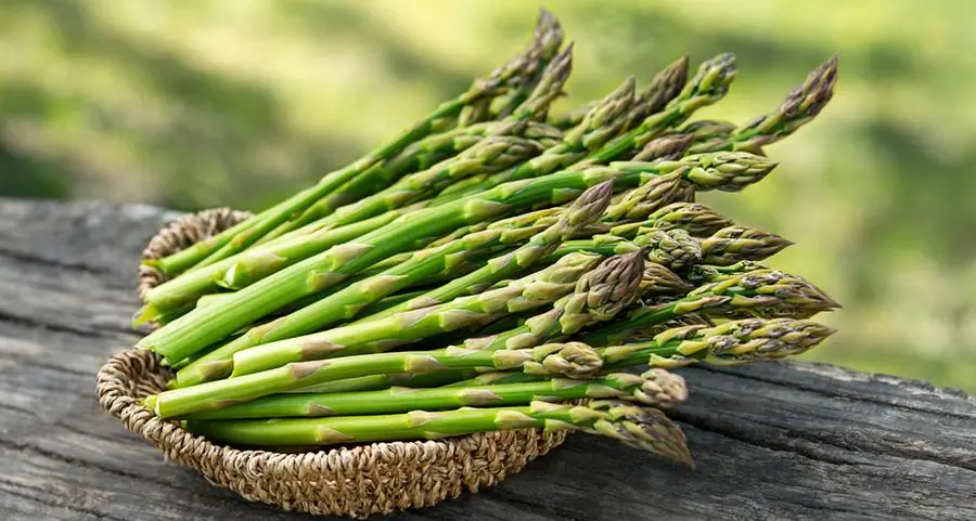Fettuccine di mare con asparagi