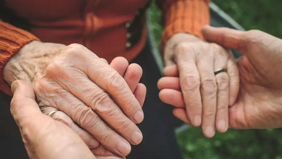 Modifiche alla Legge 104: 10 ore in più di permesso con la nuova norma