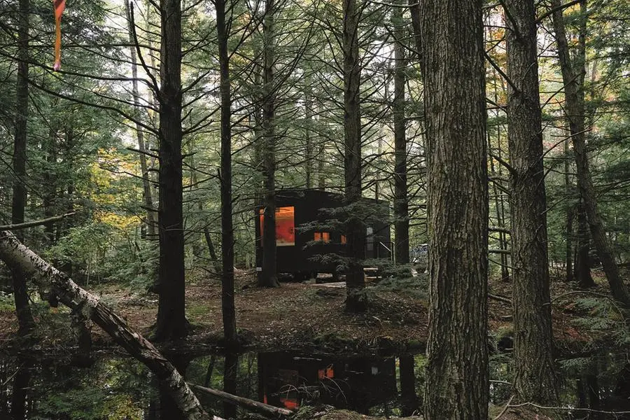 Una Postcard Cabin in un bosco degli Stati Uniti