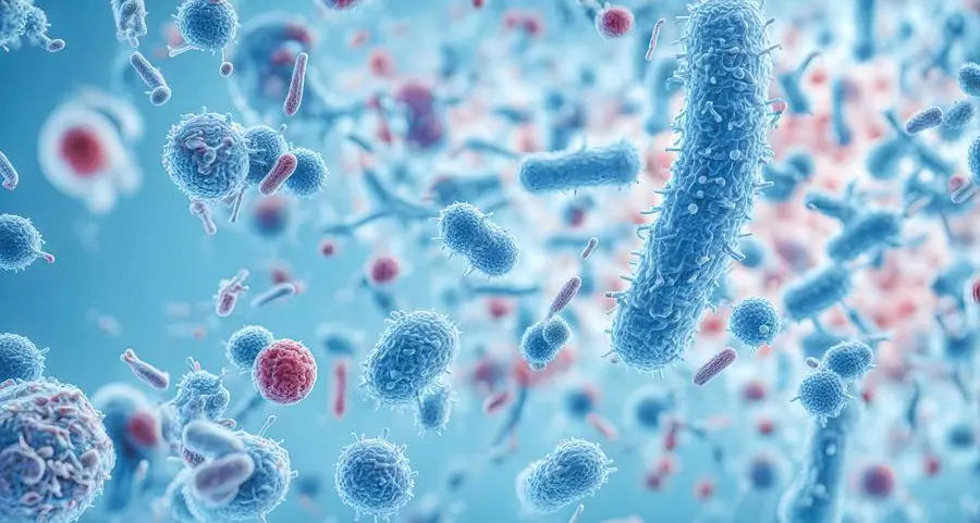 Quale differenza c’è tra microrganismi saprofiti e commensali?