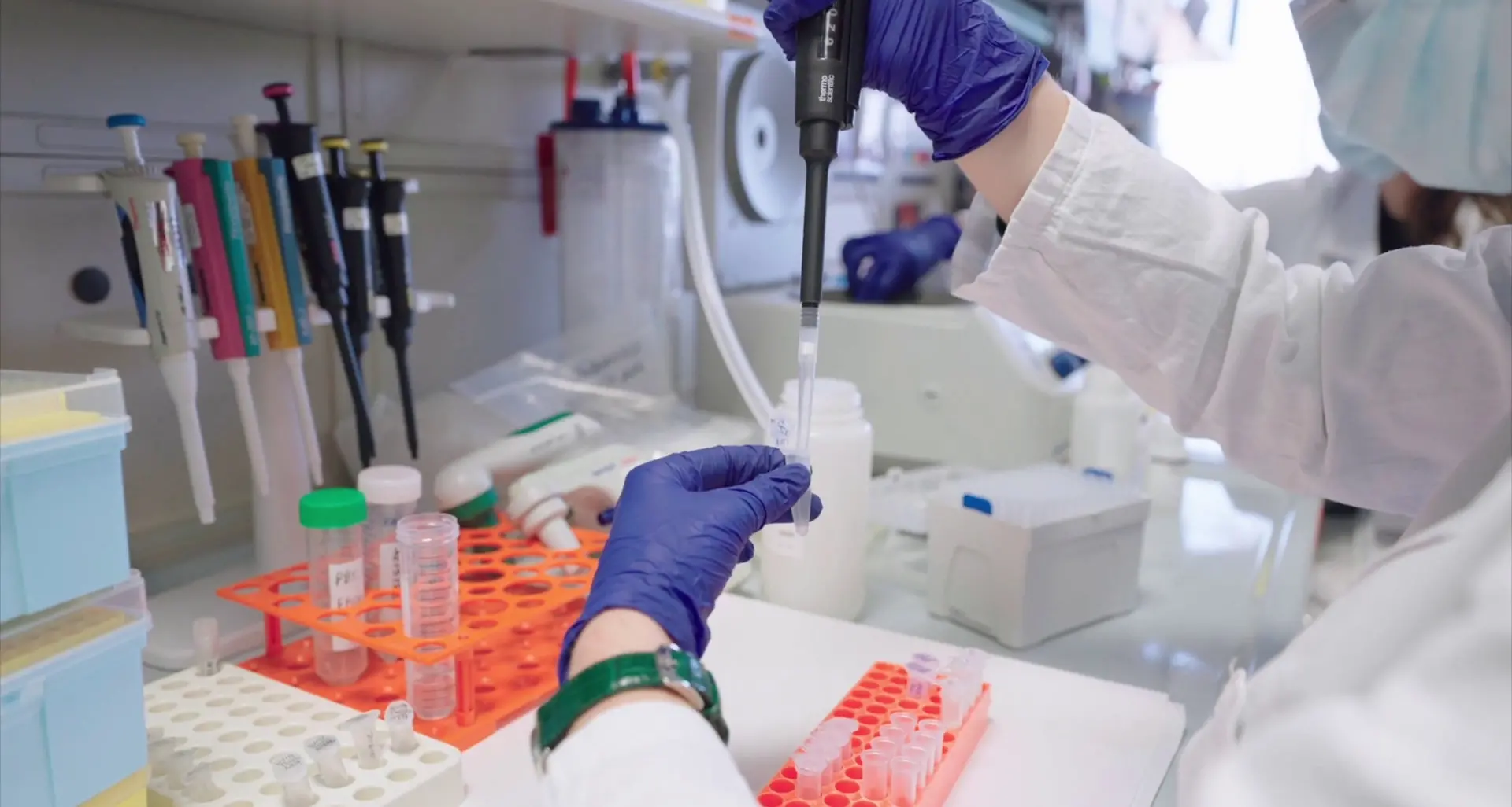 Ematologia integrata al San Raffaele di Milano, dalla ricerca alla cura