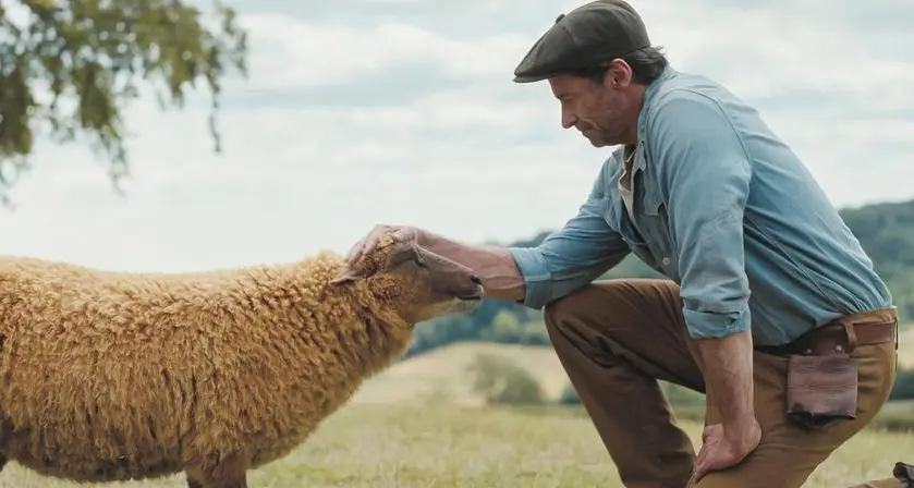 Non sei una pecora! Non devi brucare tutto il giorno, mangia agli orari dei pasti