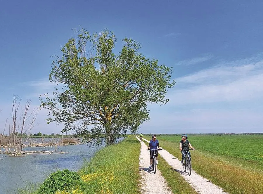Un tratto della ciclovia del Delta del Po