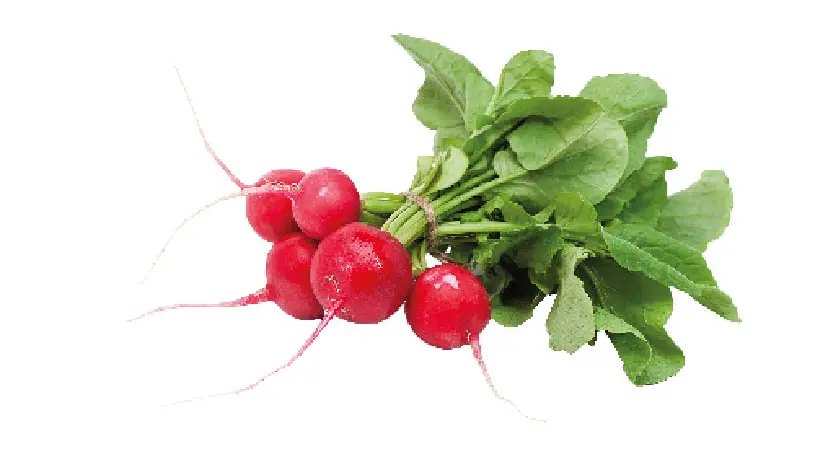 Fusilli integrali di farro al pesto di foglie di ravanelli