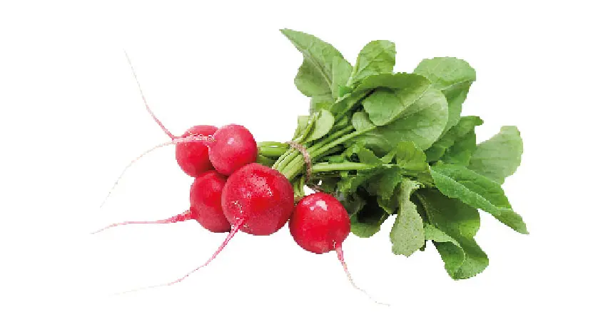 Fusilli integrali di farro al pesto di foglie di ravanelli