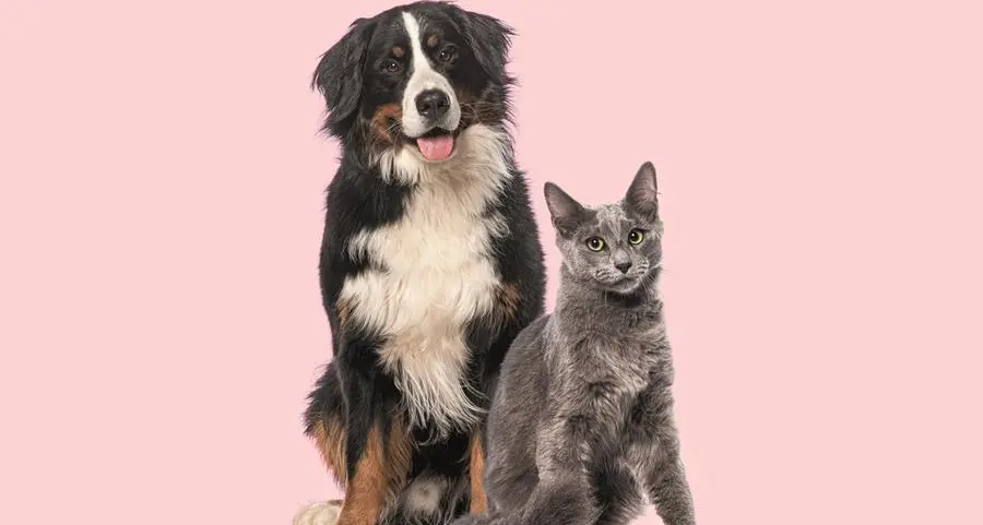Donano il sangue anche i cani e i gatti
