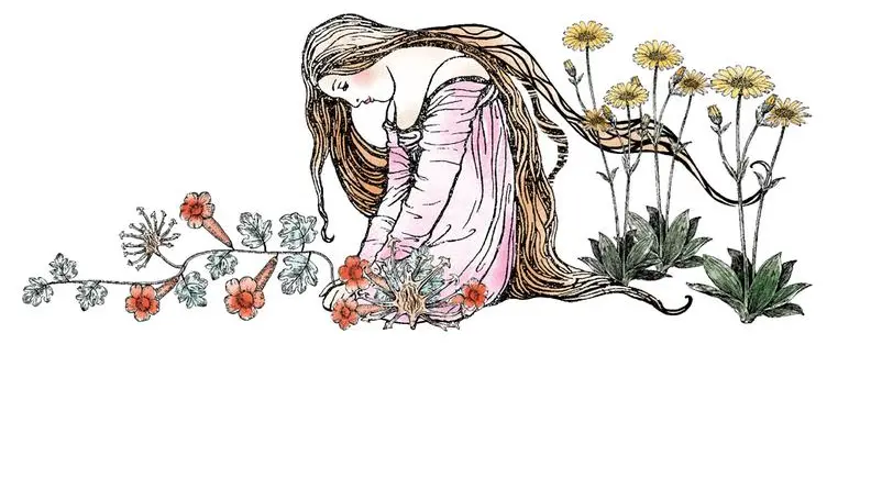 Artiglio del diavolo e arnica: quali benefici hanno queste piante?