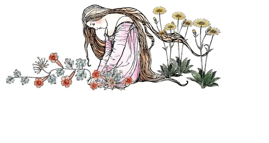 Artiglio del diavolo e arnica: quali benefici hanno queste piante?