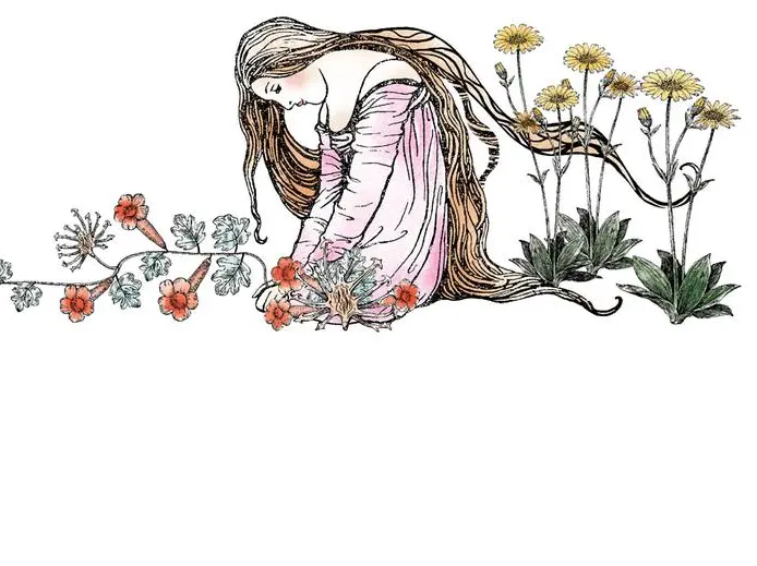 Artiglio del diavolo e arnica: quali benefici hanno queste piante?