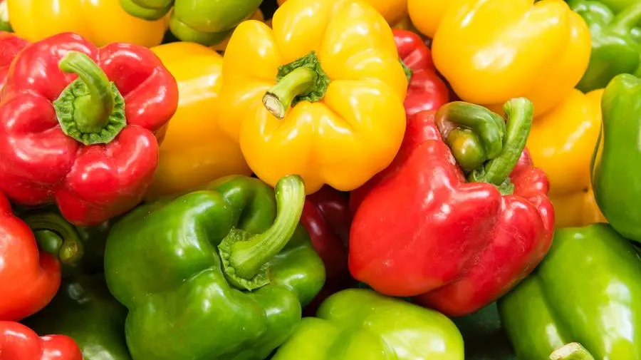 Peperoni: perché alternarli crudi e cotti