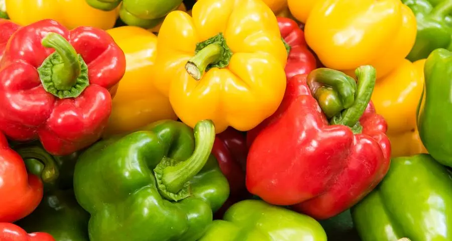 Peperoni: perché alternarli crudi e cotti