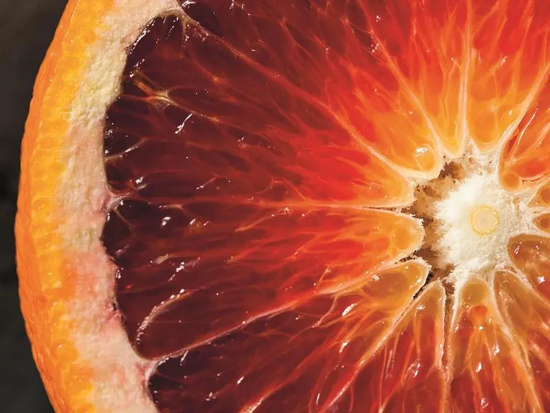 L’Airc: «Le arance rosse sono il simbolo dell’alimentazione salutare»