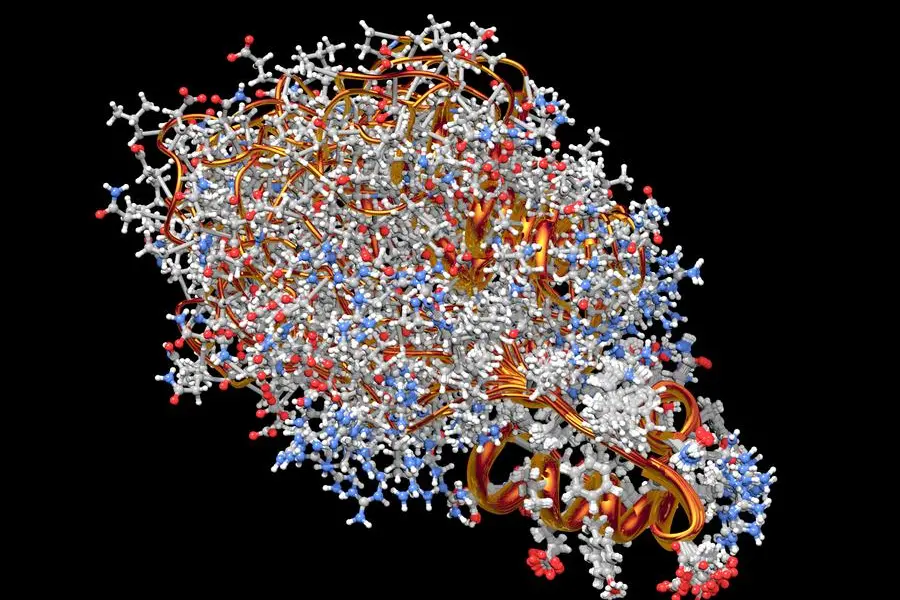 Un modello di proinsulina, la proteina precursore dell\\'insulina prodotta dalle cellule beta del pancreas.