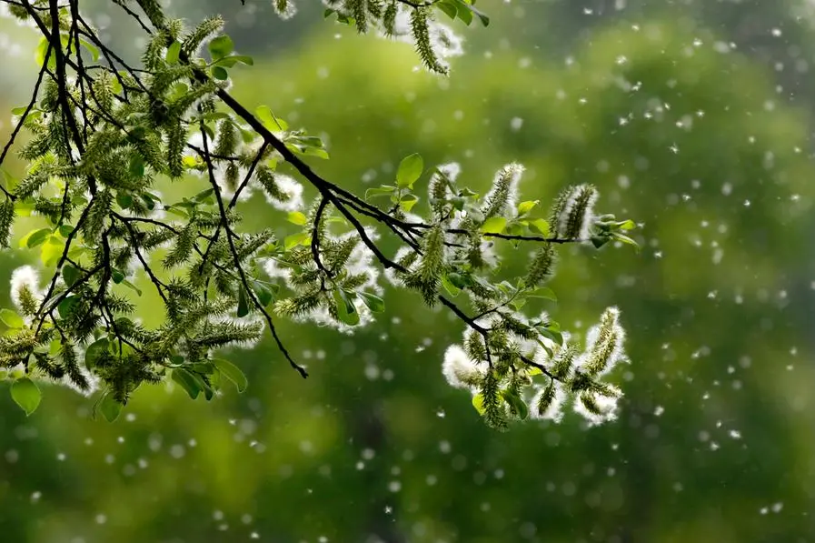 Getty Images/iStockphoto