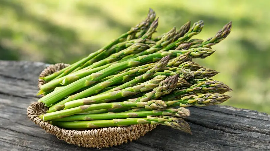 Asparagi: una molecola speciale garantisce l’effetto diuretico