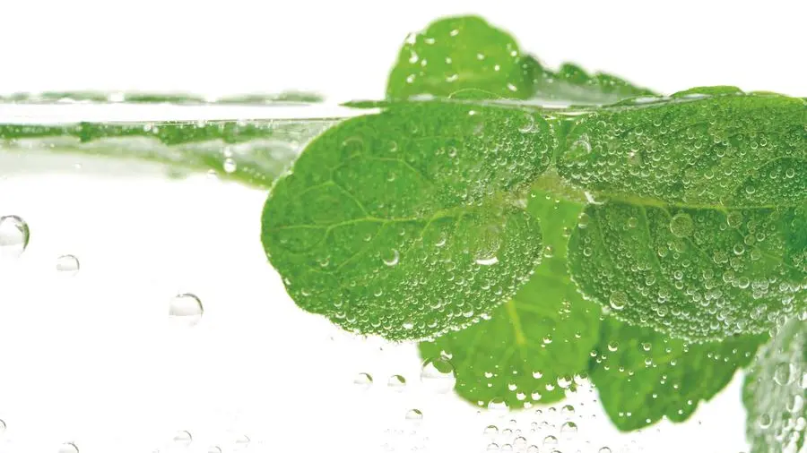 Alito pesante? Prova gli sciacqui con acqua e menta