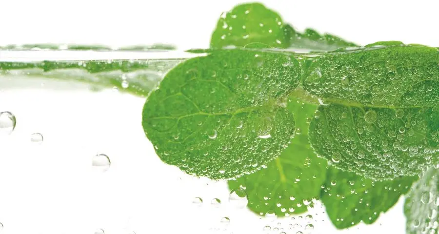 Alito pesante? Prova gli sciacqui con acqua e menta