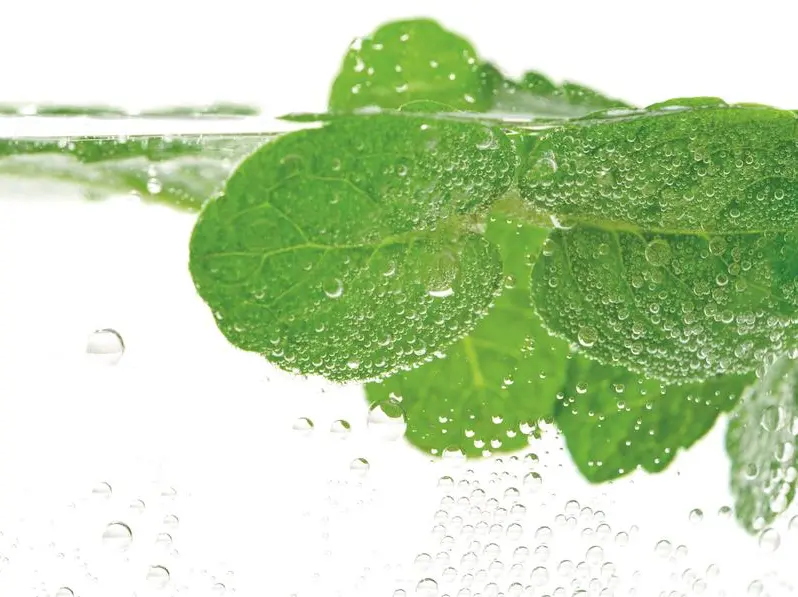 Alito pesante? Prova gli sciacqui con acqua e menta